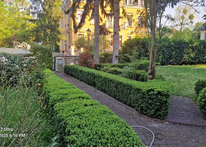 Gemuetliche 2 Raum Apartment Dresden